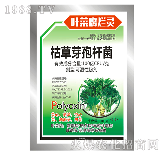 �ݲ�ѿ�ߗU��-�~�˸����`-���S�rˎ