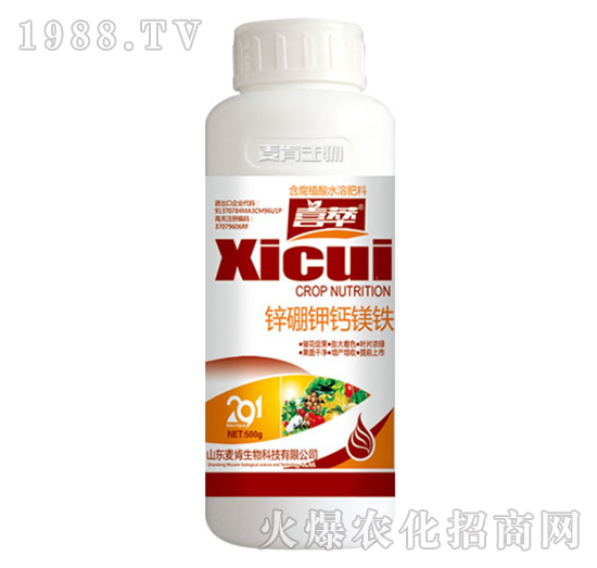 �\����}�V�F-��������