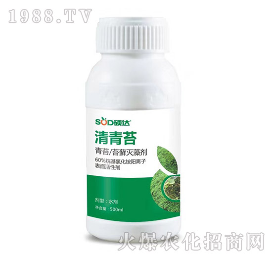 ����̦-�T�_