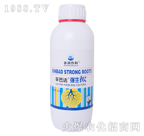 ������-�����_(d��)-�ȝ�����