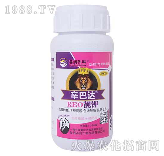 �n�-�����_-�ȝ�����