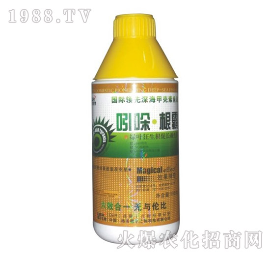 �������-� �����