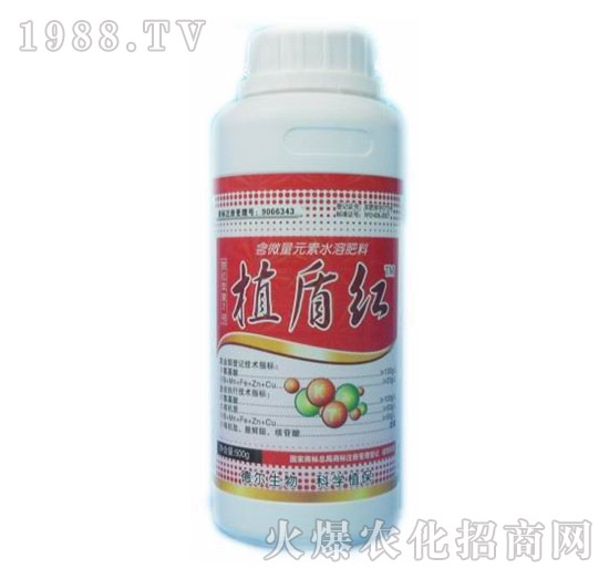 ֲ�ܼt-��?t��ng)����? style=