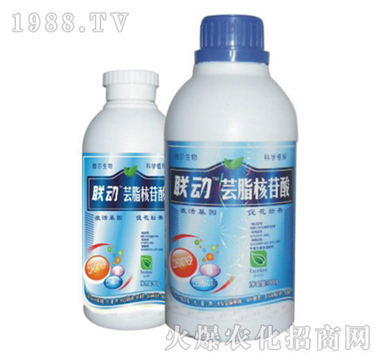 �|֬������-(li��n)��-� �����