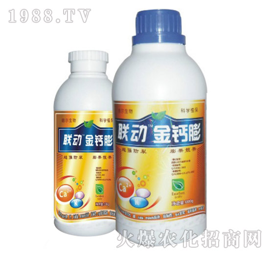 ���}��-(li��n)��(d��ng)-��?t��ng)����? style=