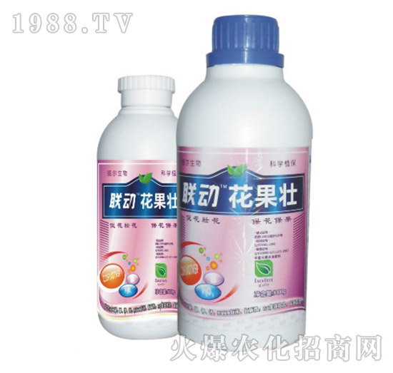 ������-��-� �����