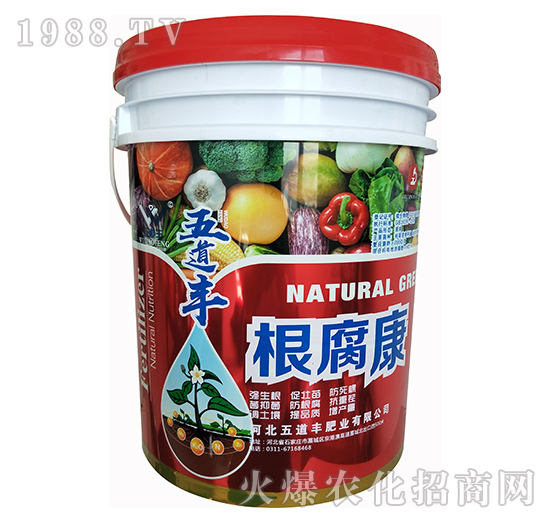 ������-����S