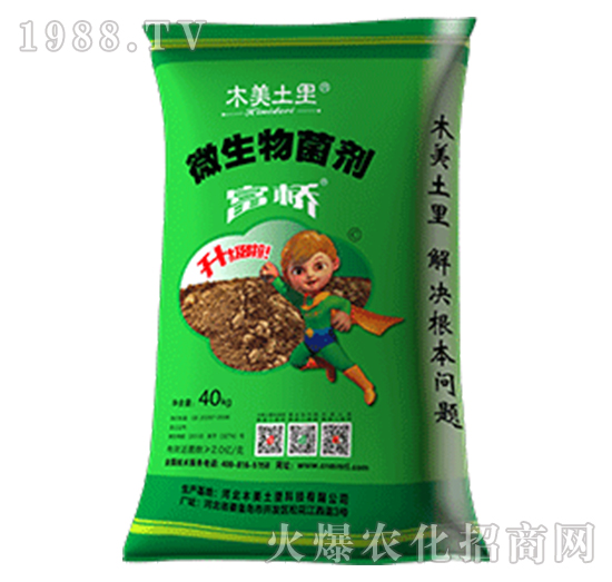 ����΢�������-ľ������