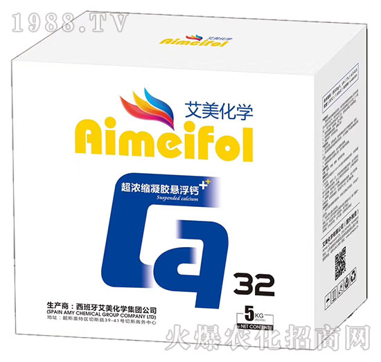 ����s���z�Ҹ��}-�������W