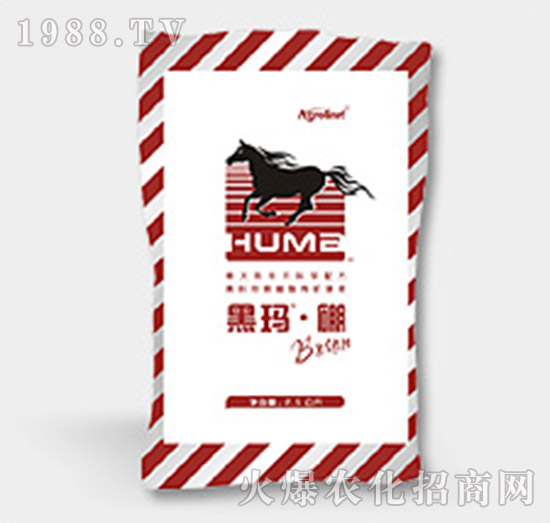 �ڬ�����-�S(li��n)�r(n��ng)�I(y��)