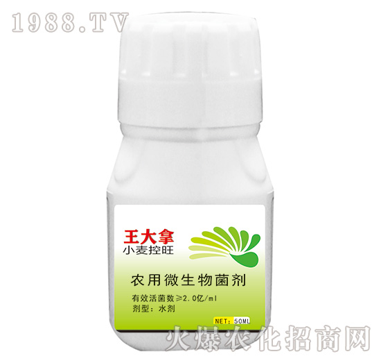 �r(n��ng)��΢�������-������-���S��