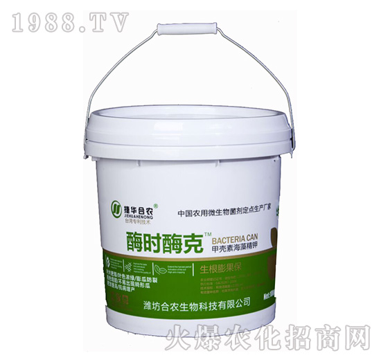 ø�rø��-���A���r