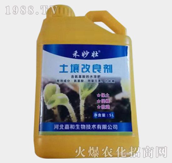 ����������-�����-�W��ֲ��