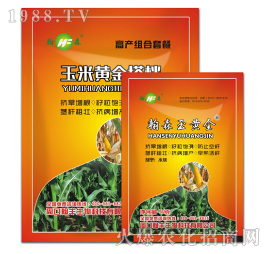 �����S���n-���S