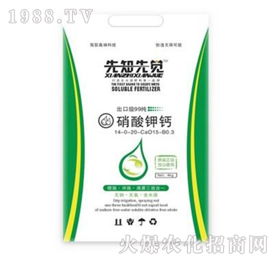 ������}-��֪���X(ju��)-��?t��ng)����? style=