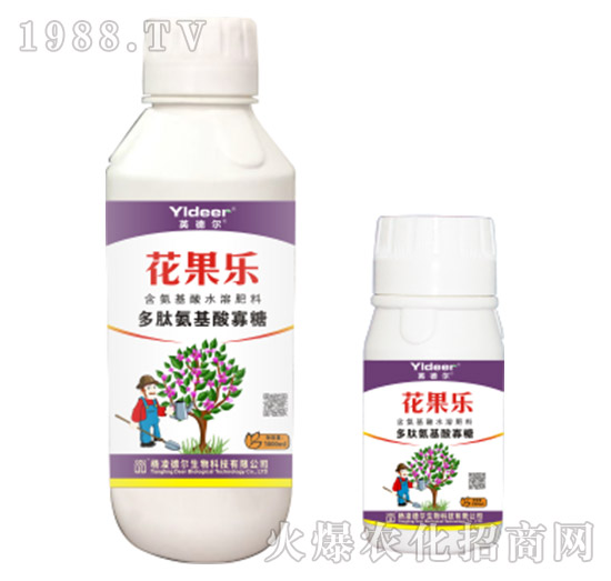 ���İ��������-������-� �����