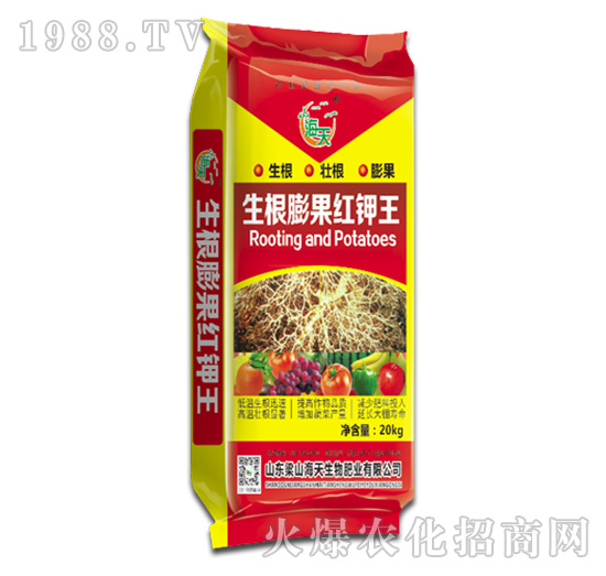 生根膨果紅鉀王-海天生物