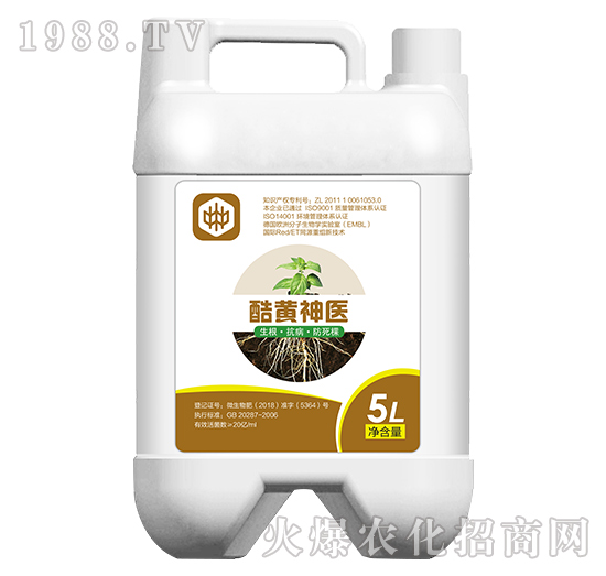 ���S���t(y��)�������������ã�-��ֲ(li��n)��