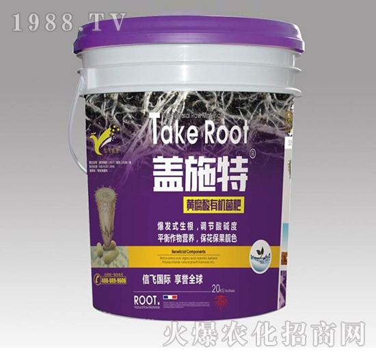 �S�����ЙC(j��)����-�wʩ��-���w�r(n��ng)�I(y��)