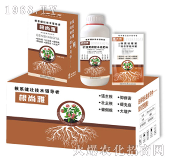 ������-Ǭ�r(n��ng)