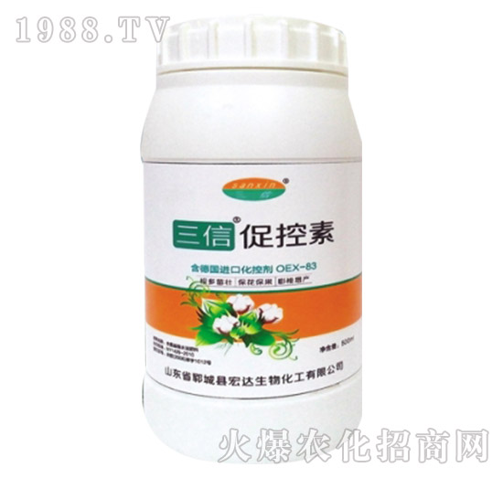 ���Ŵٿ���-���_����