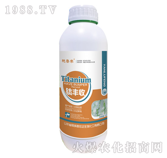 ��S��-�G���S-���_����