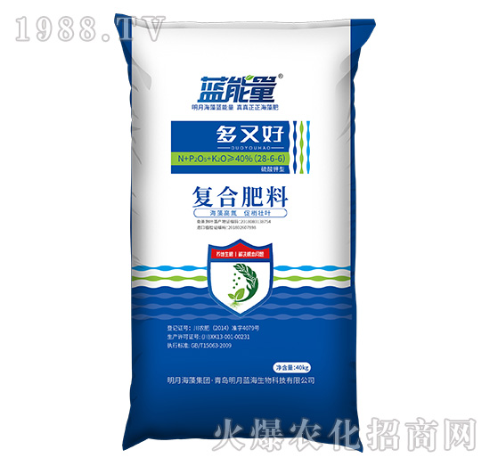 ������͏ͺϷ���28-6-6-���ֺ�-�{����