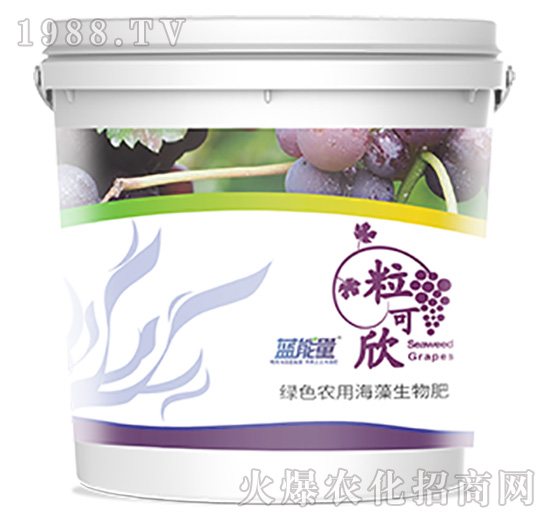 ������-�{(l��n)����