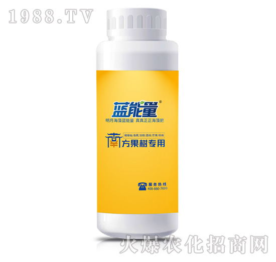 �����䌣��-�����n��-�{(l��n)����