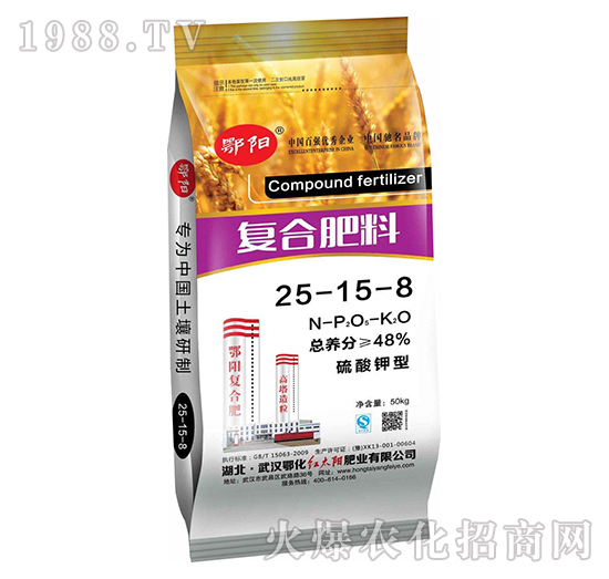 ������͏�(f��)�Ϸ���25-15-8-���