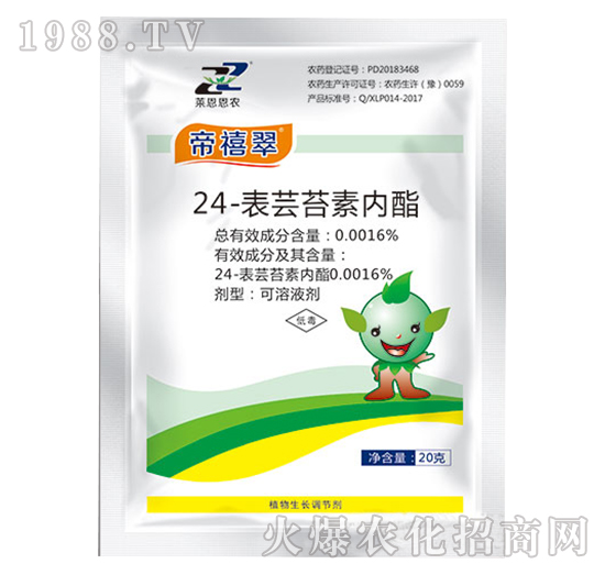 24-���|̦�؃�֬-������-�R�����r