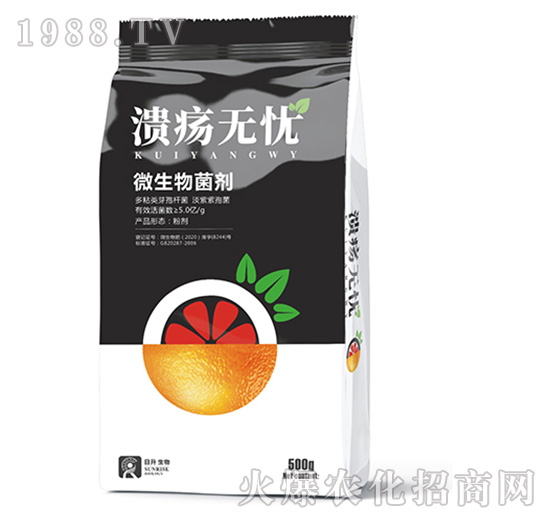 ΢�������-�����o�n-��������