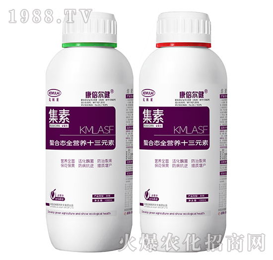 ���ϑB(t��i)ȫ�I�B(y��ng)ʮ��Ԫ�أ�ƿ��-����-��������-��ķ�R