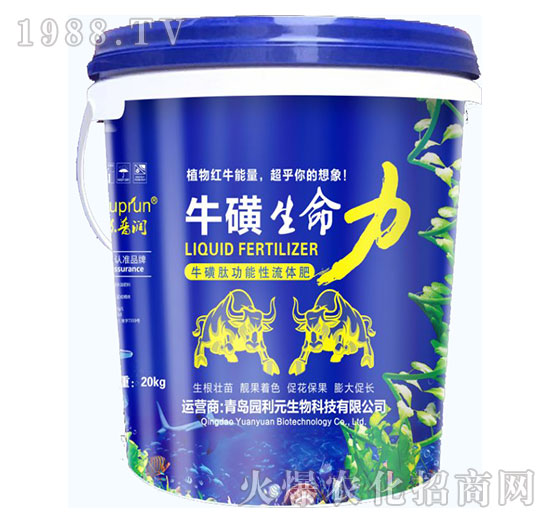 ����������-�@��Ԫ