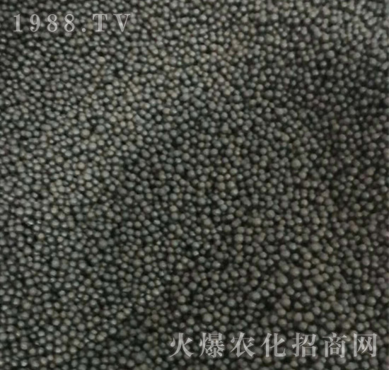 ���{�����ЙC(j��)����-ʩ���_(d��)