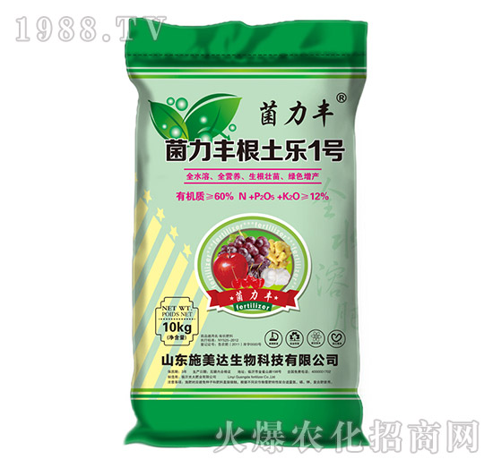 �����S������1̖-�����S-ʩ���_(d��)