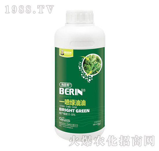 һ���G����-�����-��������