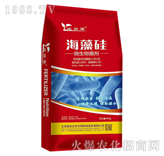 ΢�������-�����-ꖹ�|�r