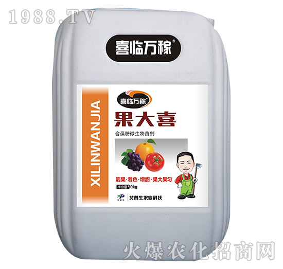 ����ϲ-ϲ�R�f��-������