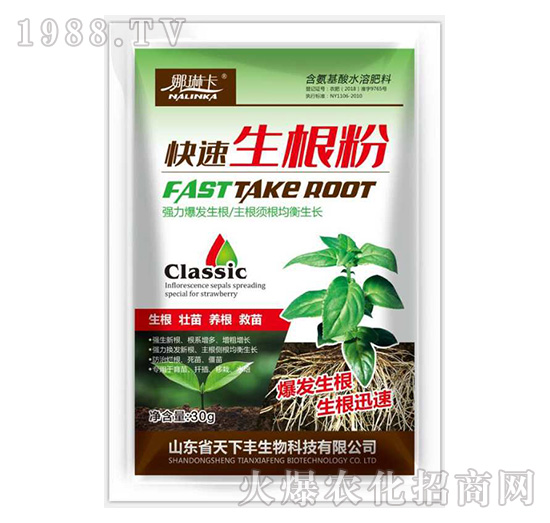 ����������-���տ�-�����S