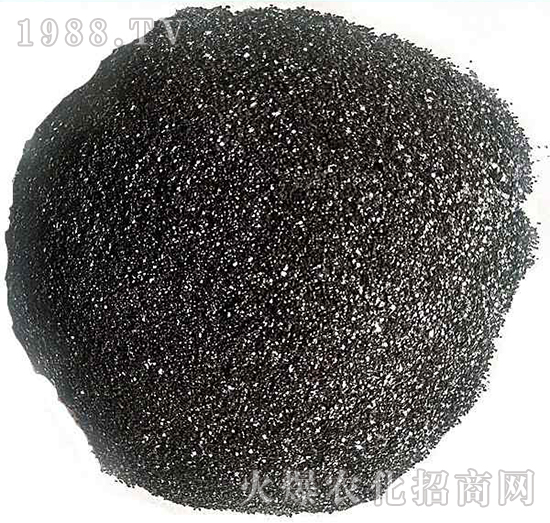 Ƭ��VԴ�S�����-����