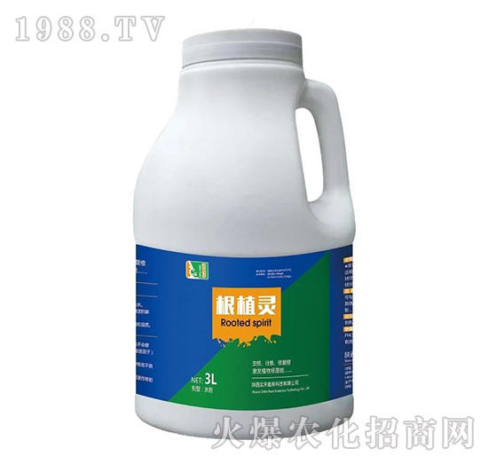 ��ֲ�`-����