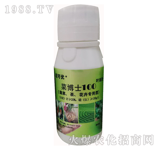 �˲�ʿ100���߲ˡ��������܌��ã�-���Ƀ�(y��u)-��Ɔ���