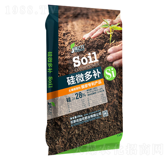 �����{�턩-��΢���a-���r�ʘI(y��)