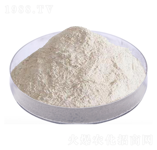 �ЙC�����ԭ��-����