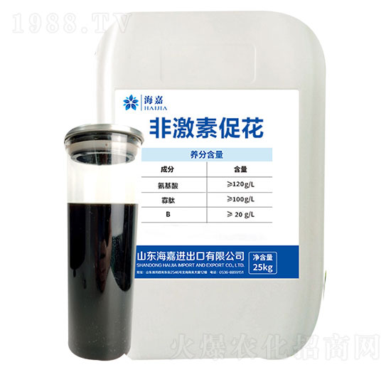 �Ǽ��شٻ���-����