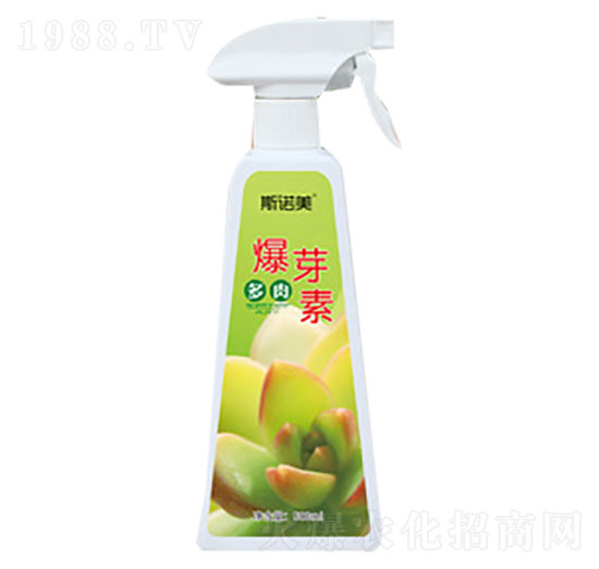 ���ⱬѿ��-�r������