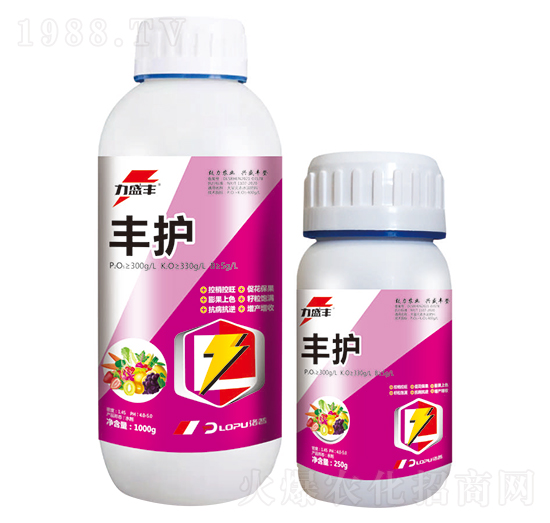 �S�o-����