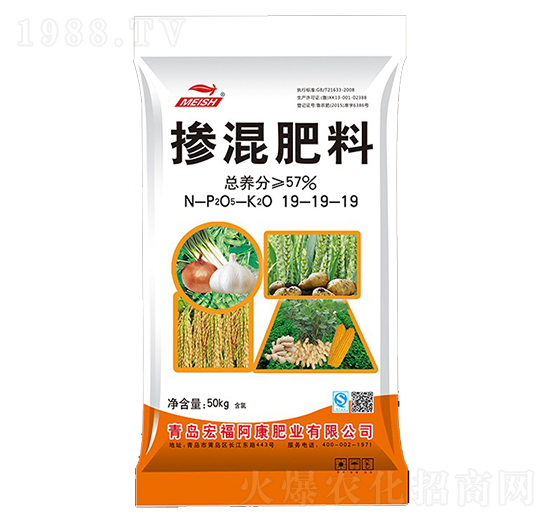 �������19-19-19-�긣����