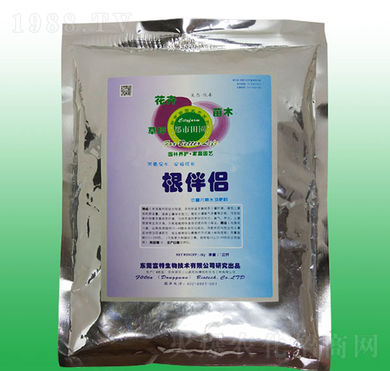 ����H-�����ɳ�����ã�-��������